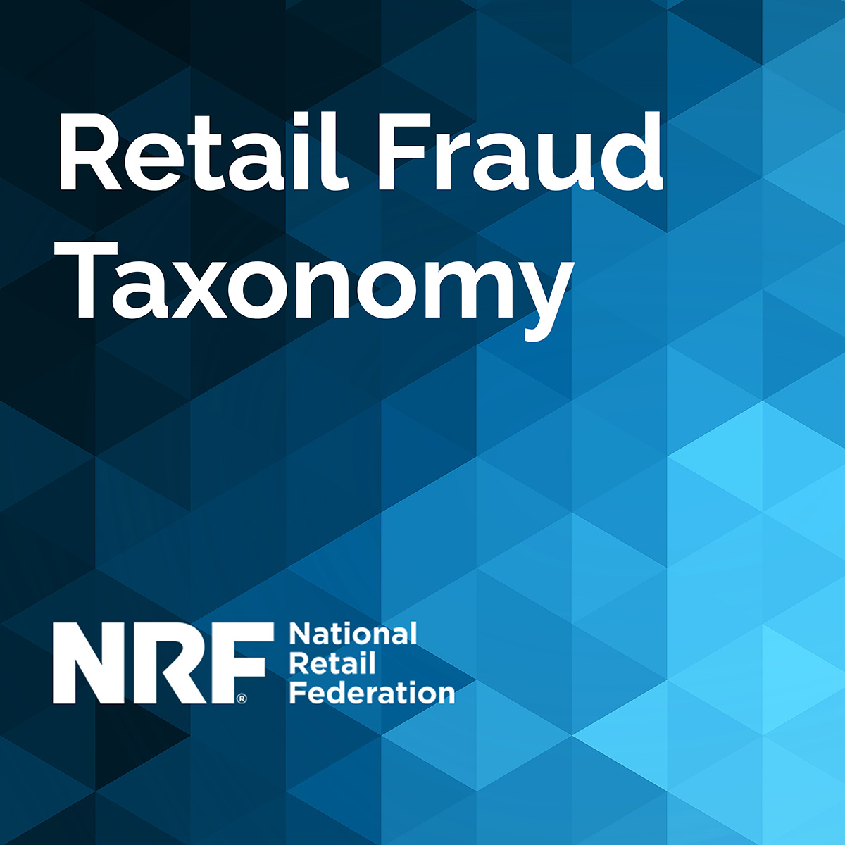 retail fraud taxonomy