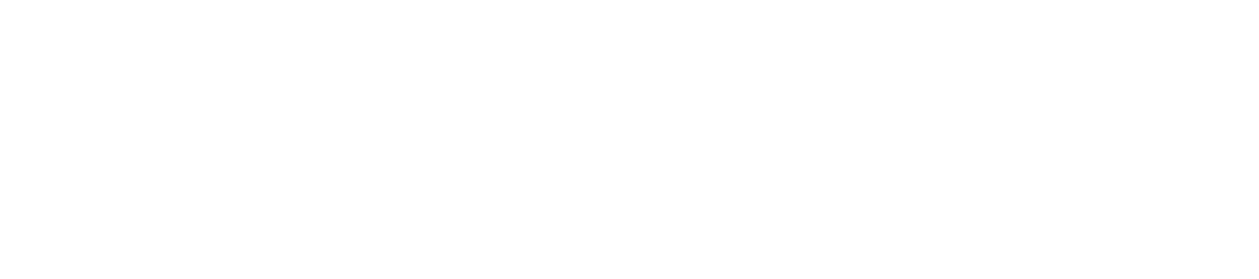 logo-united